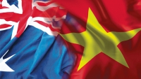 Thông báo mời tham gia Chương trình Khảo sát toàn diện  ý kiến của người Việt Nam định cư ở nước ngoài về các quy định pháp luật và các thủ tục hành chính liên quan